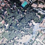 foret